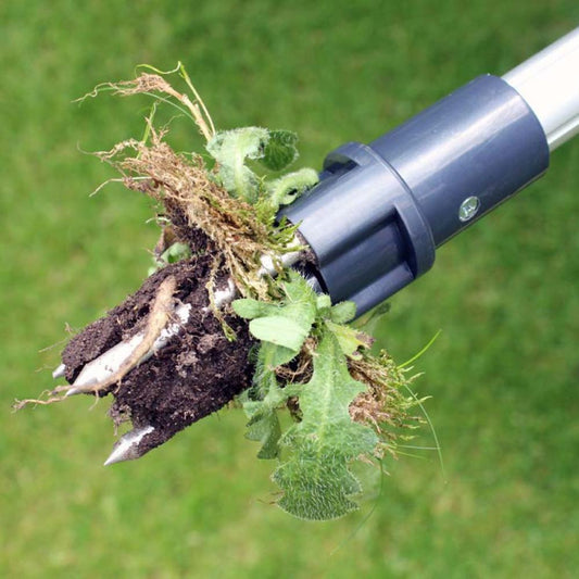 BURGON & BALL Gardening Wonder Weed Puller