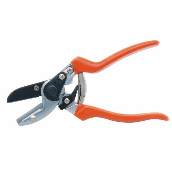 BURGON-and-BALL-Anvil Secateur-RHS-Endorsed-GTO-SCA-Botanex