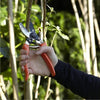 BURGON & BALL Gardening Secateurs - Anvil