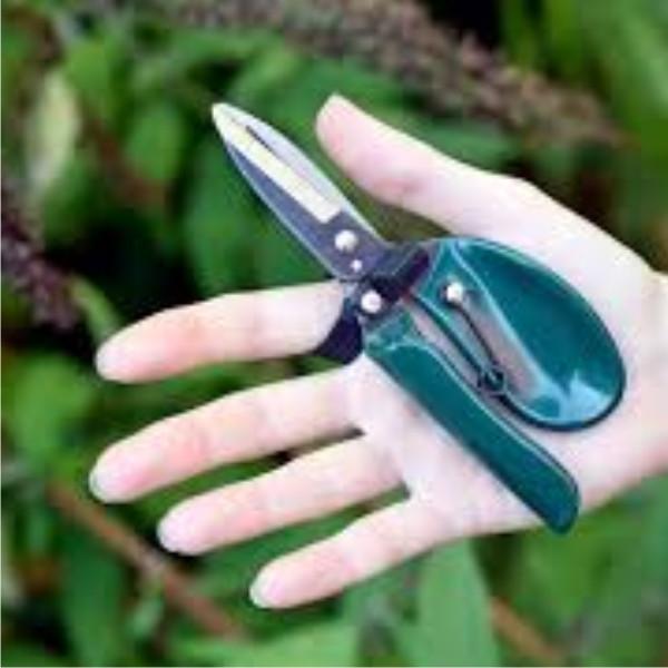 BURGON-and-BALL-Ergo-Deadheader-GTO-ERGODH-Botanex