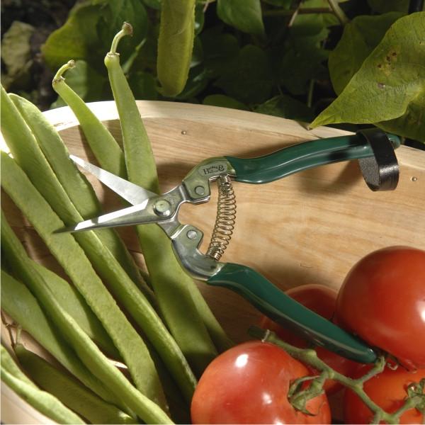 BURGON-and- BALL-Flower-and-fruit-snip-GTO-FFS-Botanex