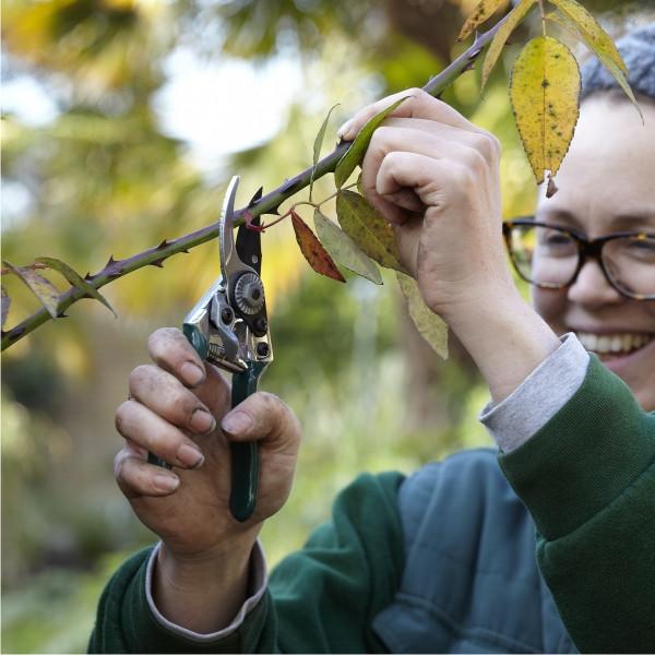 BURGON-and- BALL-Pocket-pruner-GTO-PP-Botanex