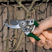 Load image into Gallery viewer, BURGON-and- BALL-Pocket-pruner-GTO-PP-Botanex