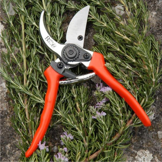 BURGON & BALL | Secateurs - Bypass ( includes replacement blade and spare spring)