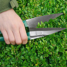 Load image into Gallery viewer, BURGON &amp; BALL Topiary Garden Trimming Shears - Large