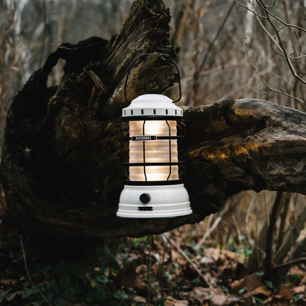 Load image into Gallery viewer, BAREBONES Forest Lantern - Vintage White