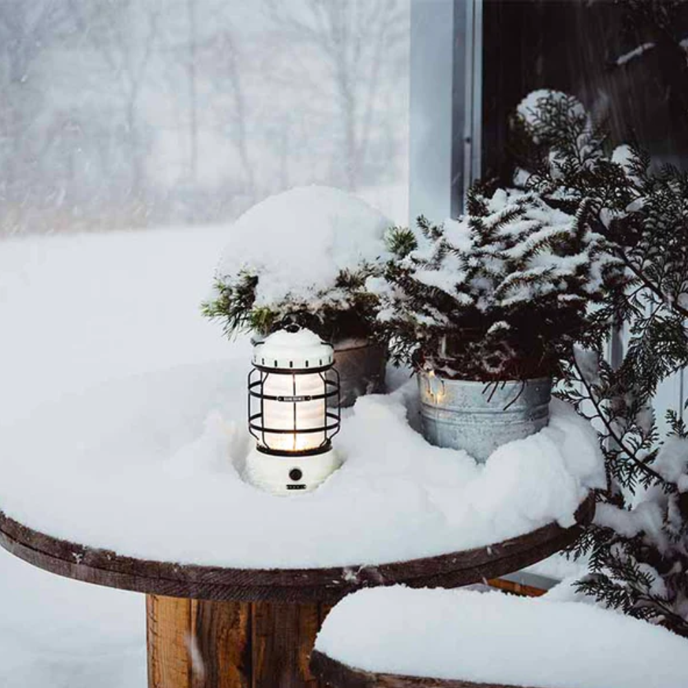 Load image into Gallery viewer, BAREBONES Forest Lantern - Vintage White