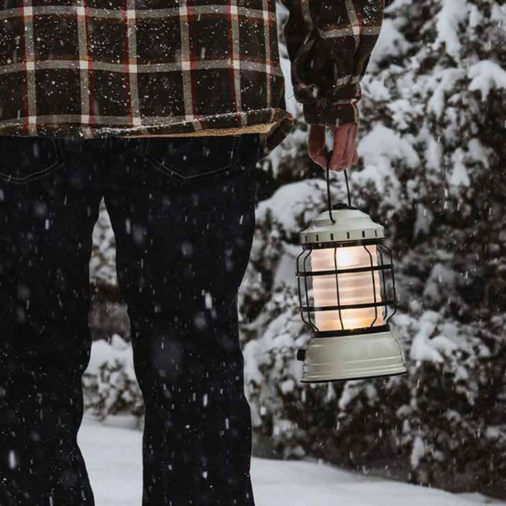 Load image into Gallery viewer, BAREBONES Forest Lantern - Vintage White