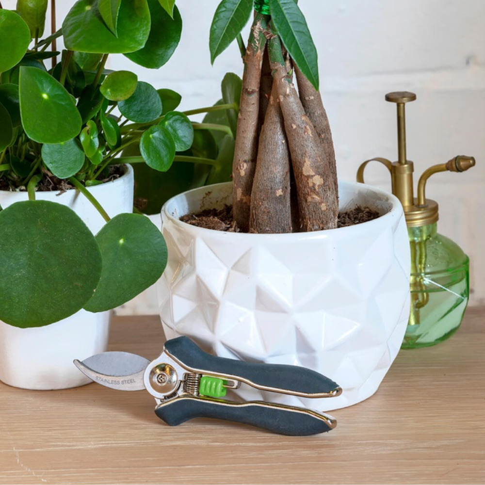 Load image into Gallery viewer, BURGON &amp; BALL Houseplant Pruner