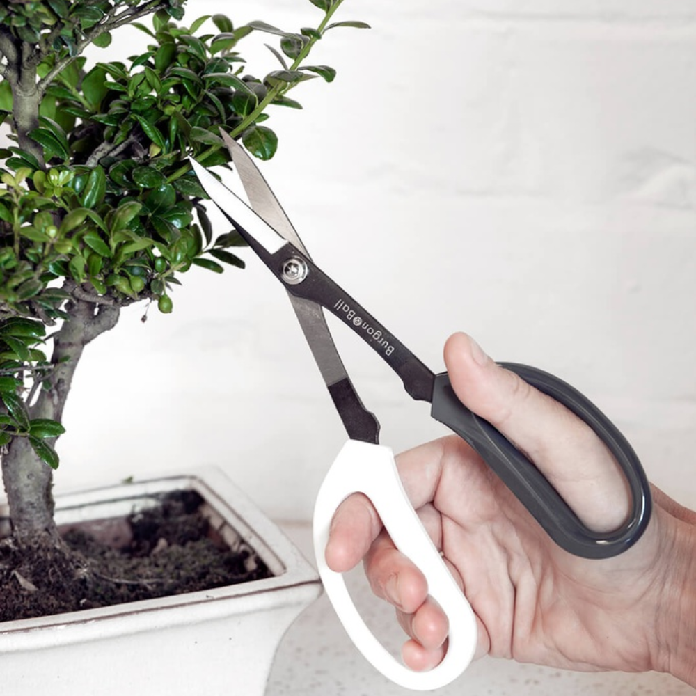 Load image into Gallery viewer, BURGON &amp; BALL Japanese Pruning Scissors