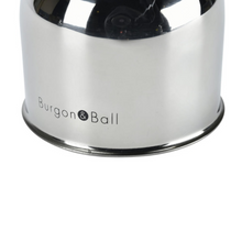 Load image into Gallery viewer, BURGON &amp; BALL Indoor Plant Mister - Stainless Steel