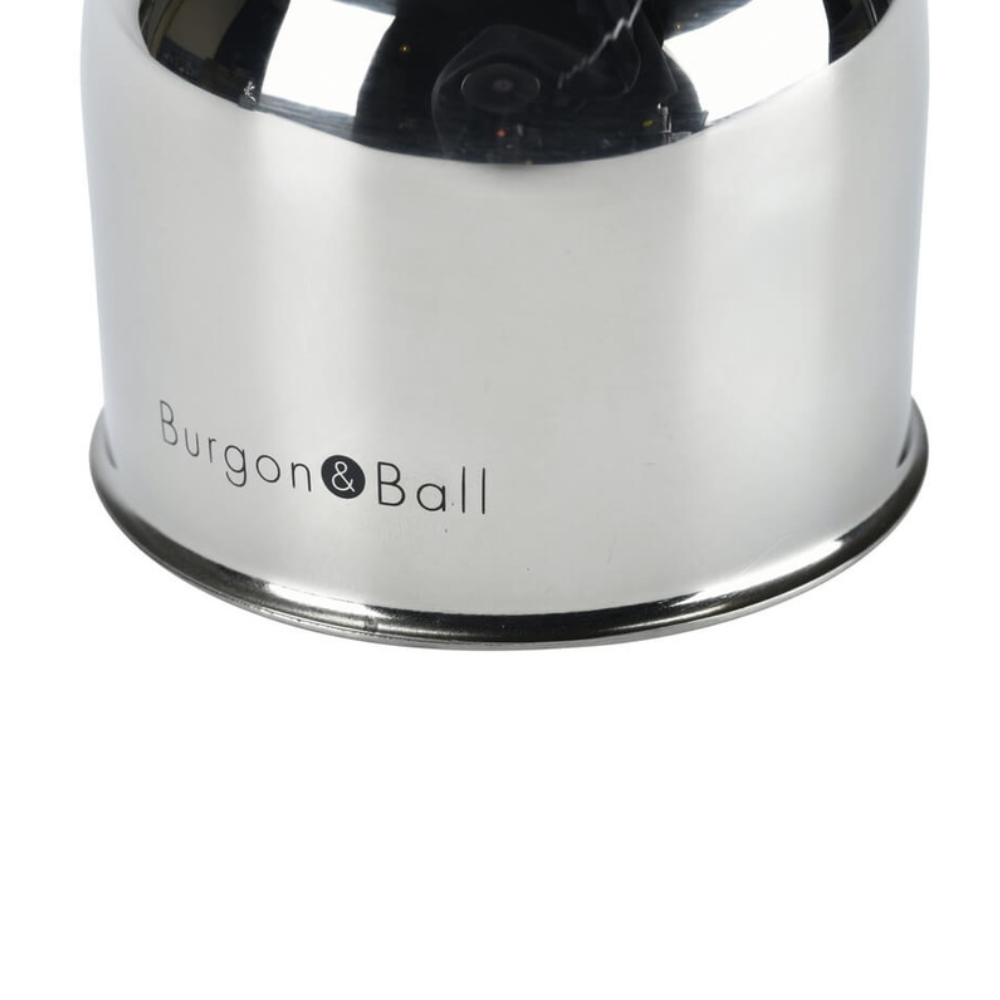 Load image into Gallery viewer, BURGON &amp; BALL Indoor Plant Mister - Stainless Steel