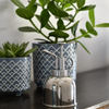BURGON & BALL Indoor Plant Mister - Stainless Steel