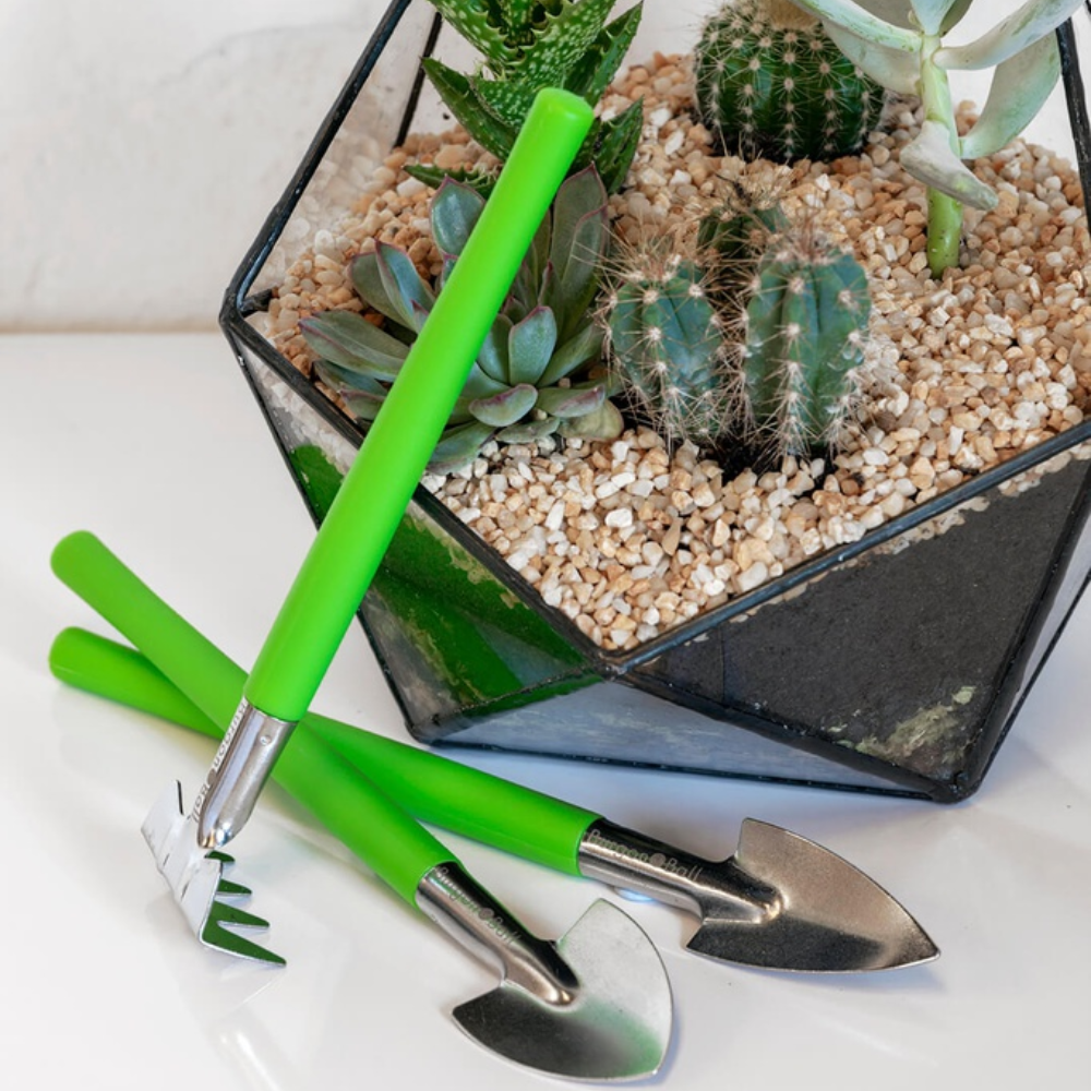 Load image into Gallery viewer, BURGON &amp; BALL Terrarium Tool Set