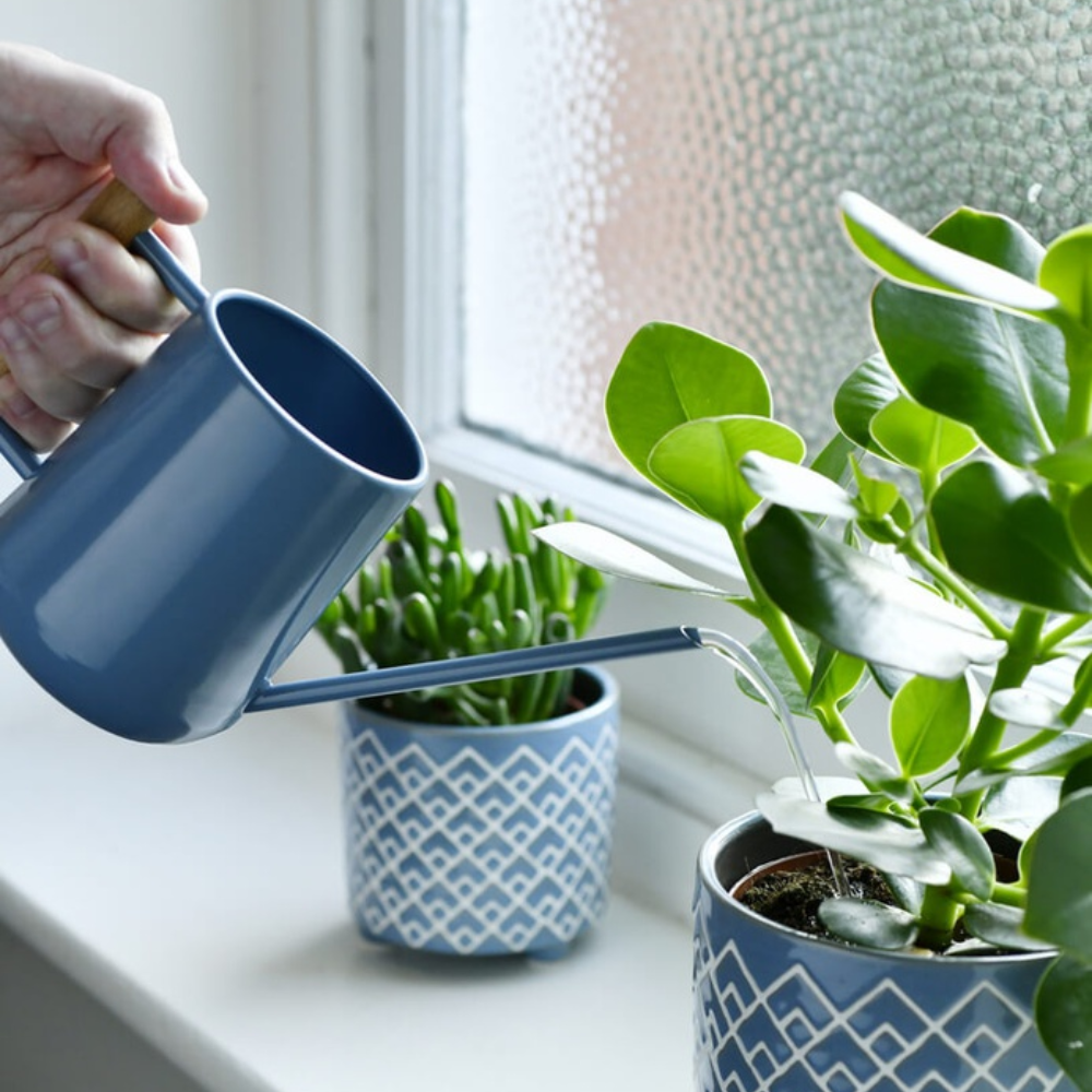 Load image into Gallery viewer, BURGON &amp; BALL  Indoor Watering Can - Heritage Blue