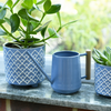 BURGON & BALL  Indoor Watering Can - Heritage Blue