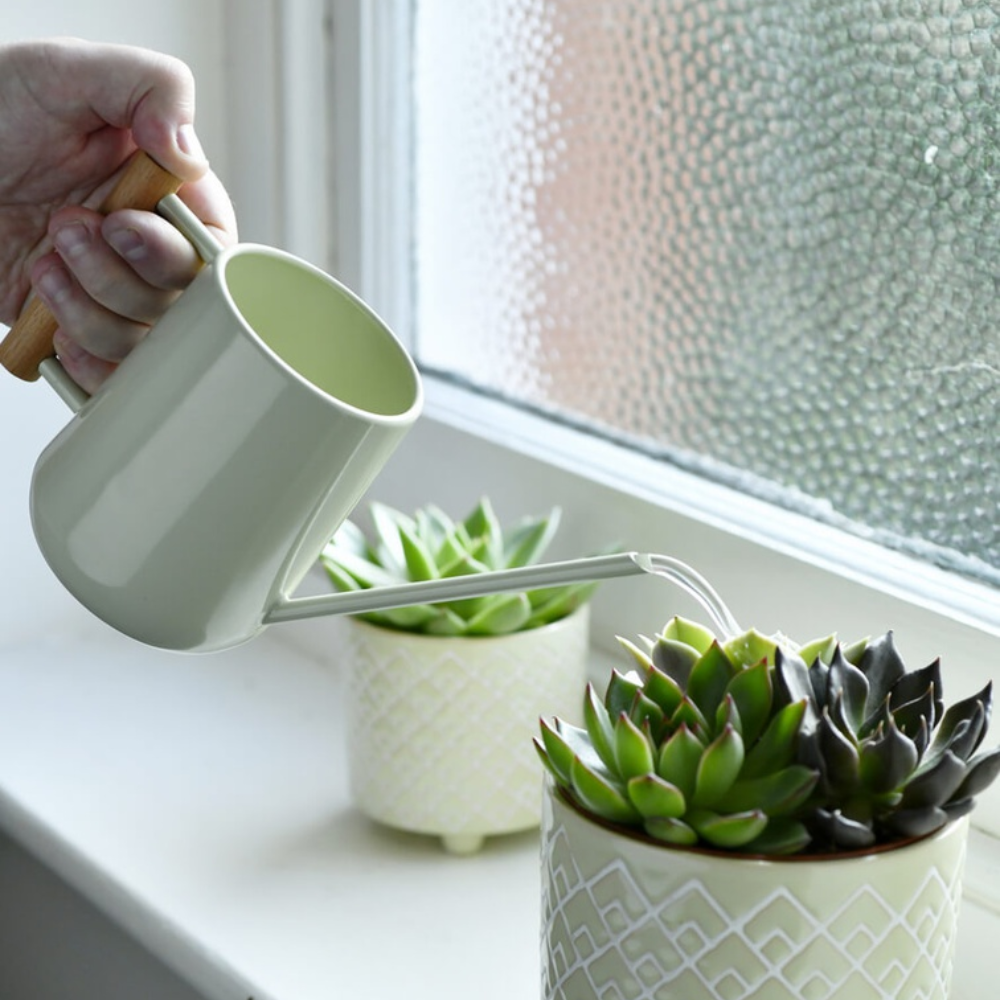 Load image into Gallery viewer, BURGON &amp; BALL  Indoor Watering Can - Pale Jade