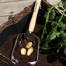 Load image into Gallery viewer, BURGON &amp; BALL Mid Handled Garden Potato Harvesting Scoop - RHS Endorsed