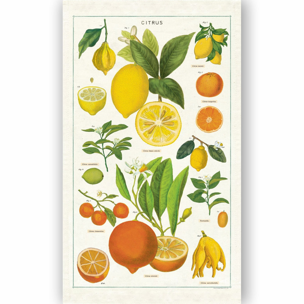 Load image into Gallery viewer, CAVALLINI &amp; Co. 100% Natural Cotton Tea Towel - Citrus