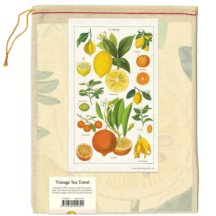 CAVALLINI & Co. 100% Natural Cotton Tea Towel - Citrus