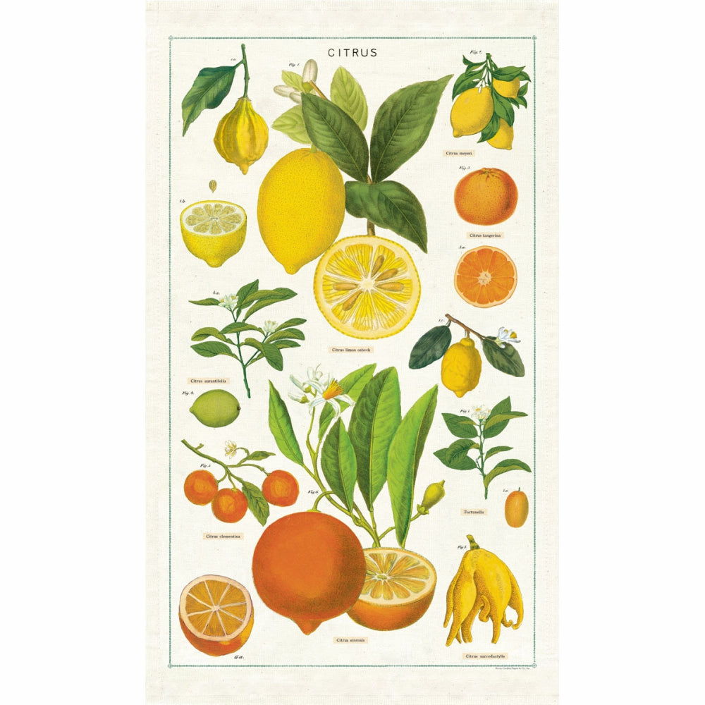 Load image into Gallery viewer, CAVALLINI &amp; Co. 100% Natural Cotton Tea Towel - Citrus