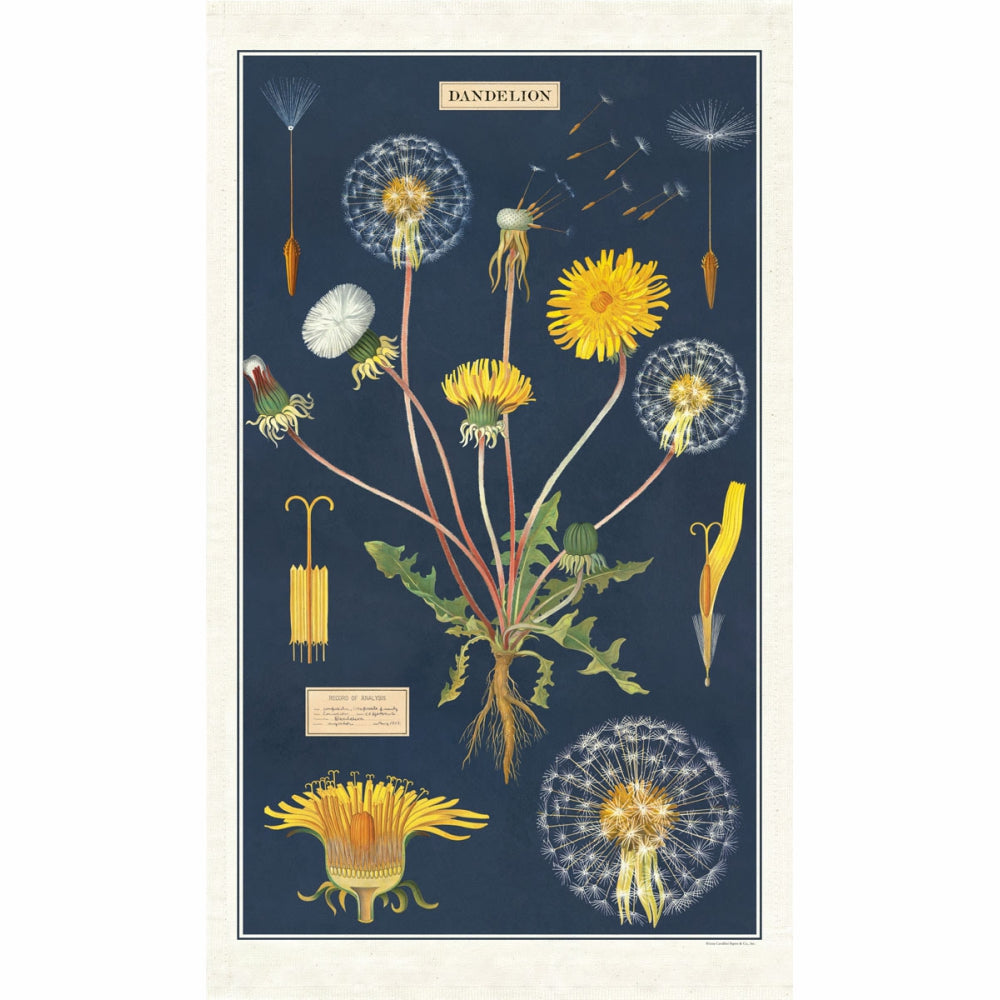 Load image into Gallery viewer, CAVALLINI &amp; Co. 100% Natural Cotton Tea Towel - Dandelion