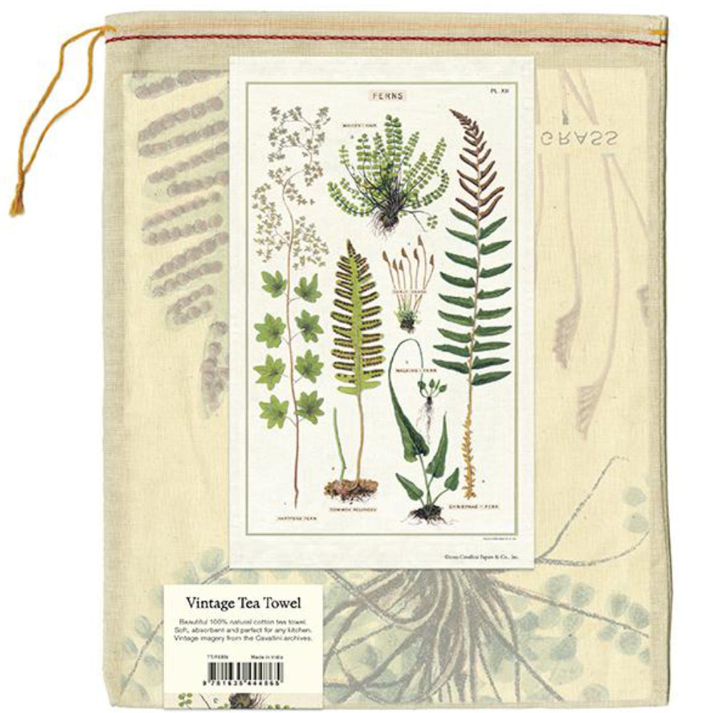 Load image into Gallery viewer, CAVALLINI &amp; Co. 100% Natural Cotton Tea Towel - Ferns