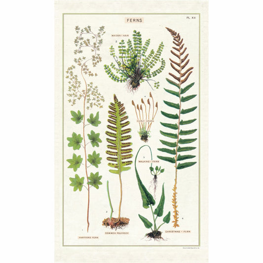 CAVALLINI & Co. 100% Natural Cotton Tea Towel - Ferns