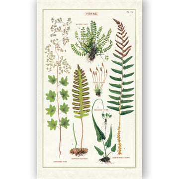 CAVALLINI & Co. 100% Natural Cotton Tea Towel - Ferns