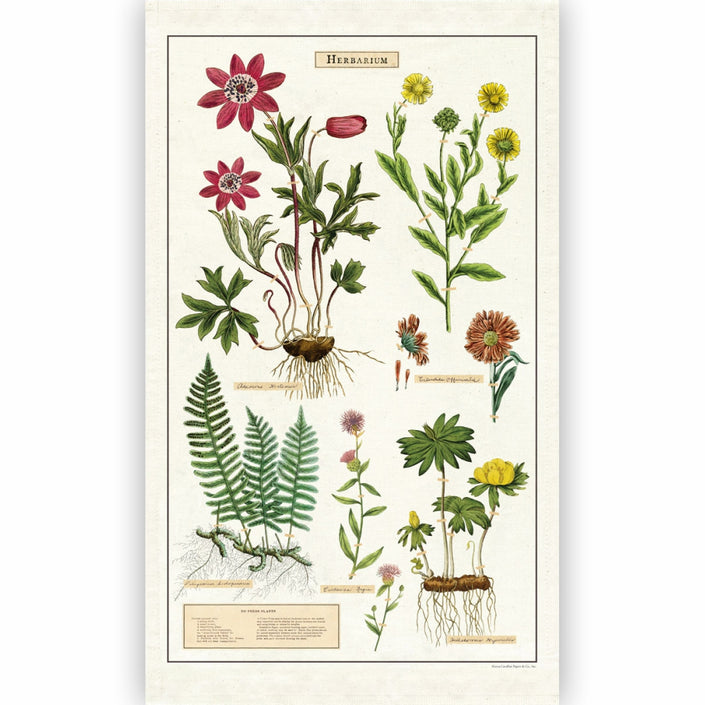 CAVALLINI & Co. 100% Natural Cotton Tea Towel - Herbarium