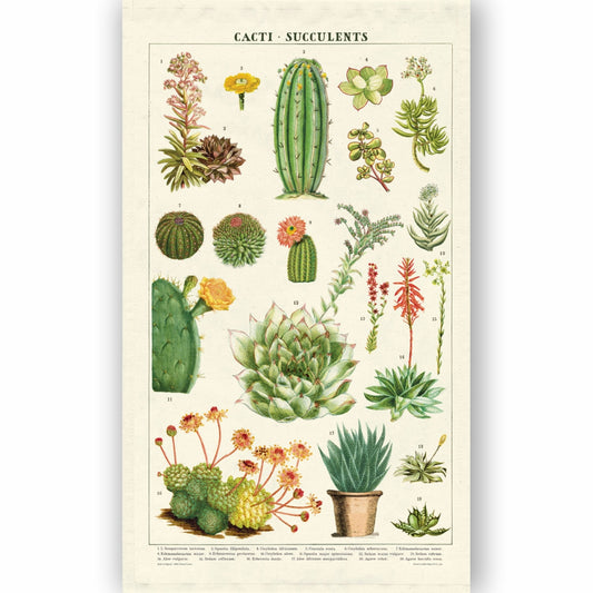 CAVALLINI & Co. 100% Natural Cotton Tea Towel - Succulents