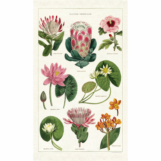 CAVALLINI & Co. 100% Natural Cotton Tea Towel - Tropical Plants