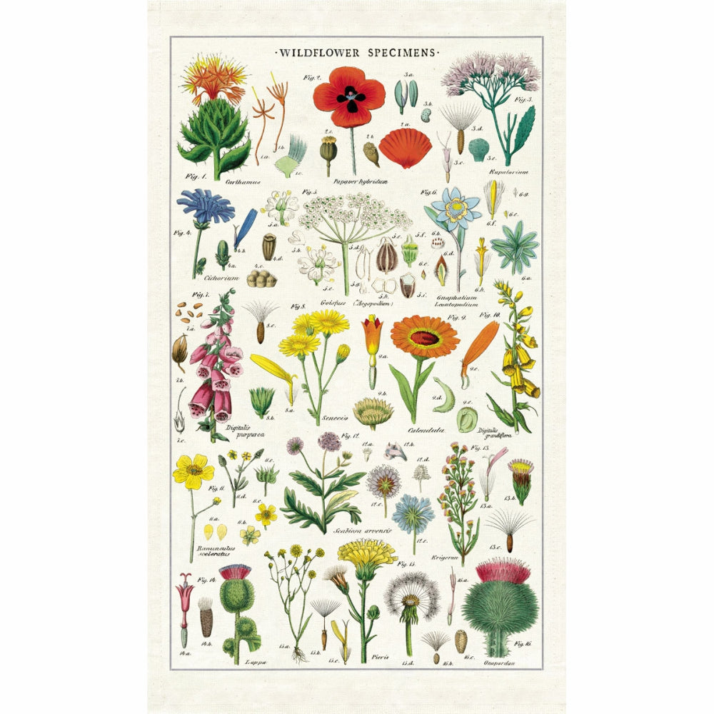 Load image into Gallery viewer, CAVALLINI &amp; Co. 100% Natural Cotton Tea Towel - Wildflowers