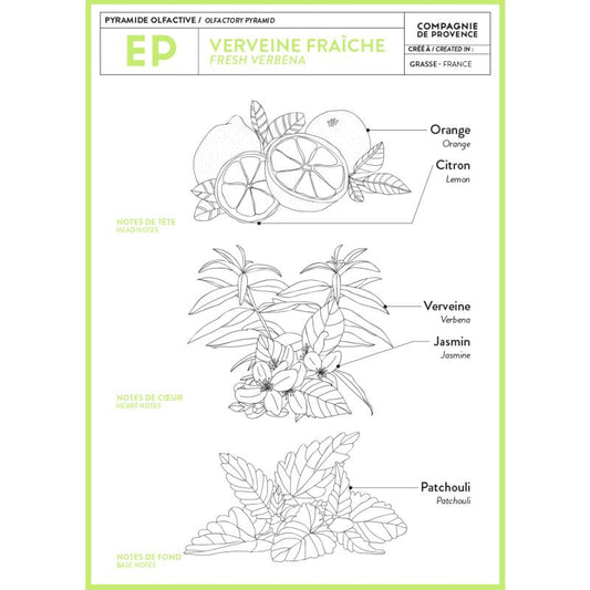 COMPAGNIE DE PROVENCE Extra Pur Hand Cream, 100mL - Fresh Verbena