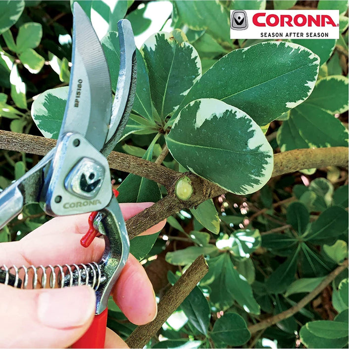 CORONA ClassicCUT® Forged Steel Bypass Pruner Secateurs - 1 inch capacity