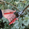 CORONA ClassicCUT Forged Steel Bypass Pruner Secateurs - 1 inch capacity