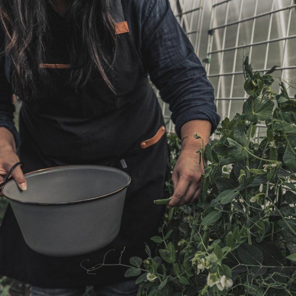 Load image into Gallery viewer, BAREBONES Chef Grilling &amp; Foraging Apron
