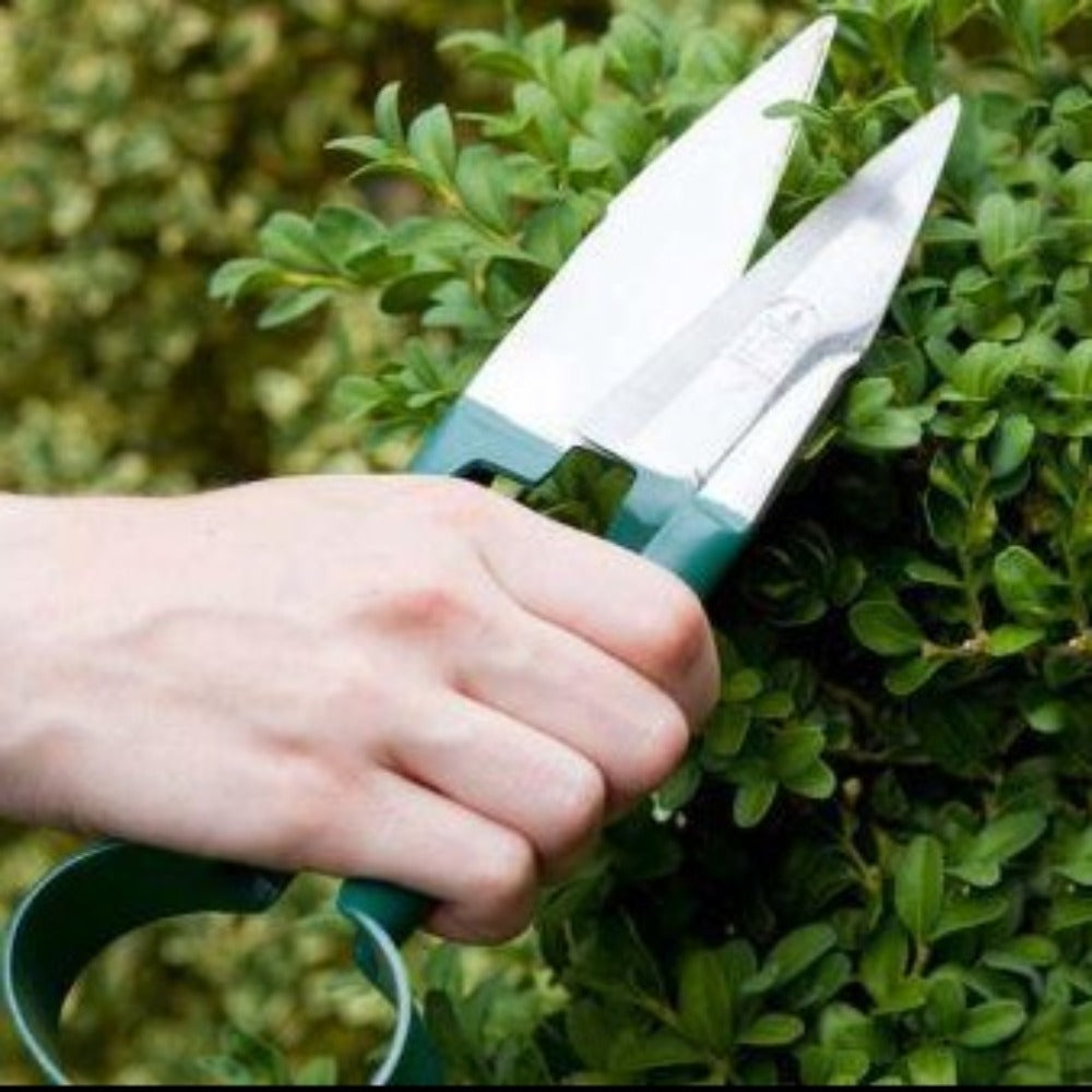 BURGON & BALL | Topiary Trimming Shears - Small in use