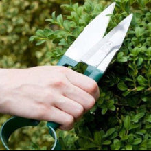 Load image into Gallery viewer, BURGON &amp; BALL | Topiary Trimming Shears - Small in use