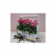 Load image into Gallery viewer, DEWIT Planting Trowel X-Treme Ash Handle 140mm