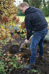 DEWIT Shark Teeth Shovel - 80cm Ash T-Handle