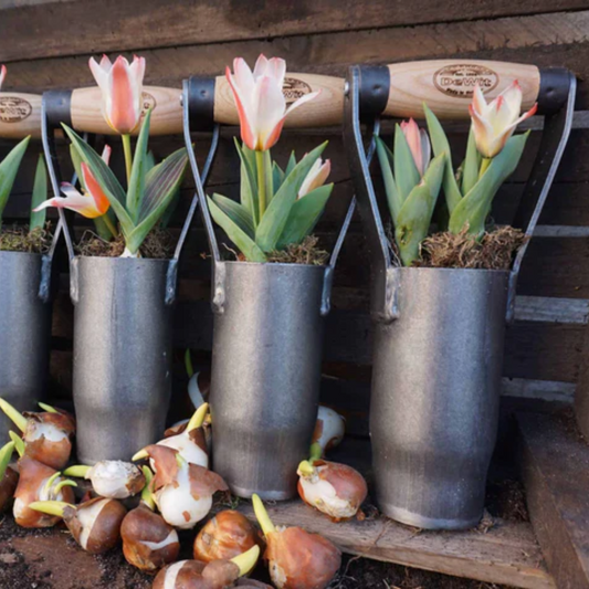 DEWIT Daffodil Bulb Planter