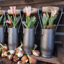 Load image into Gallery viewer, DEWIT Daffodil Bulb Planter