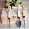 DEWIT Greenhouse Tool Set - Ash Handles
