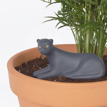 Load image into Gallery viewer, DOIY Jangal Panther Self Watering System