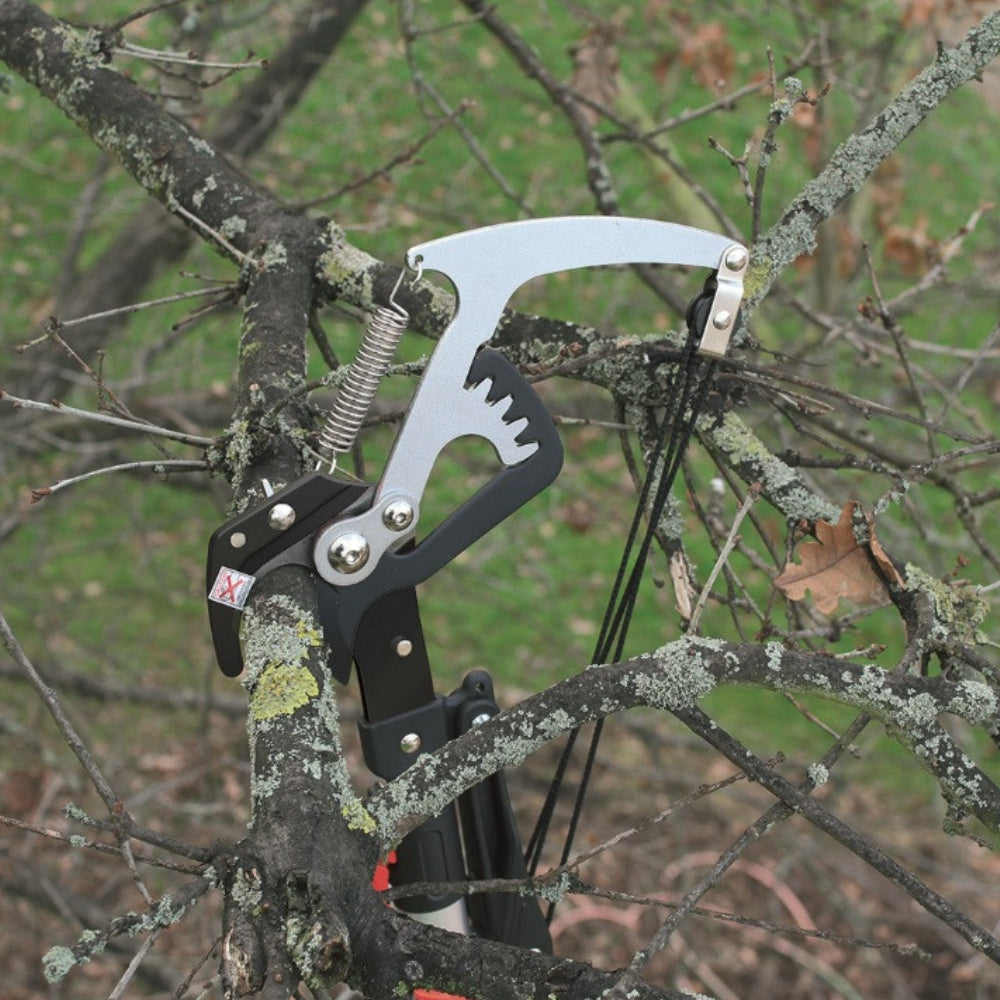 DARLAC EXPERT Geared Bypass Tree Pruner