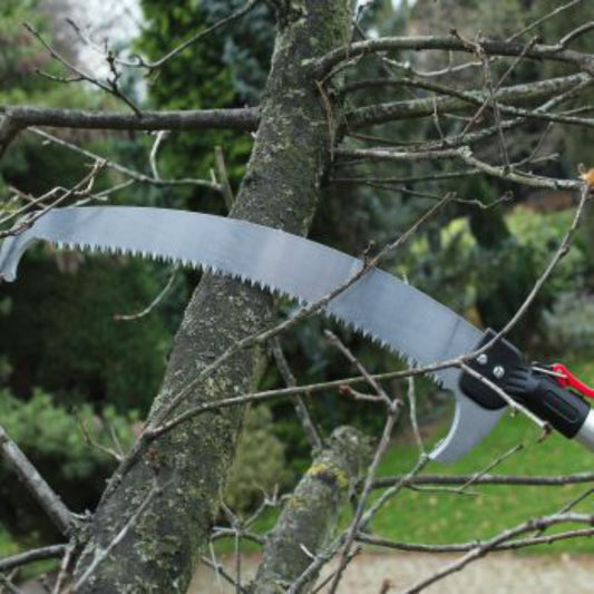 DARLAC EXPERT Razor Edge Saw