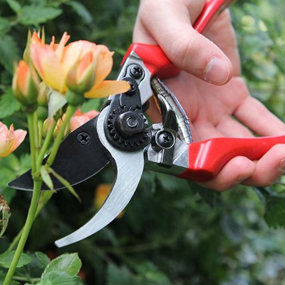 Load image into Gallery viewer, DARLAC PROFESSIONAL Pruner Secateurs - Bypass