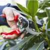 DARLAC PROFESSIONAL Left Hand Pruner Secateurs - Bypass