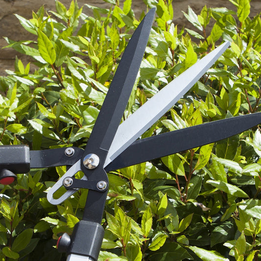 DARLAC Triblade Shear - 3 Blades